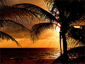 Pompano Beach Condo Rentals - Golden Sunrise