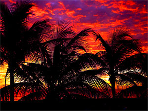 Pompano Beach Condo Rentals - Tropical Sunrise